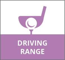 drivingrangeicon_5846335a161a3